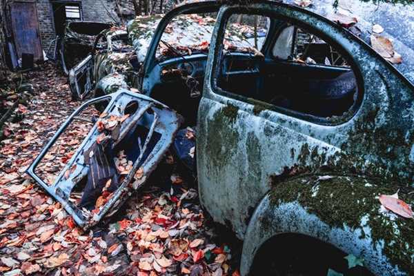 Identifying Warning Signs of Flood Damage When Bidding