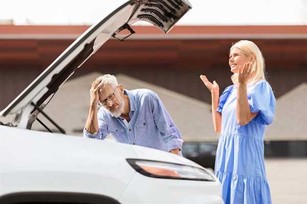 How to Evaluate the Condition and Repair History of Salvage Nissans